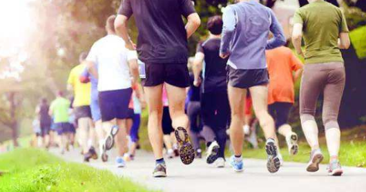 清城 互聯網體育 清城 互聯網體育